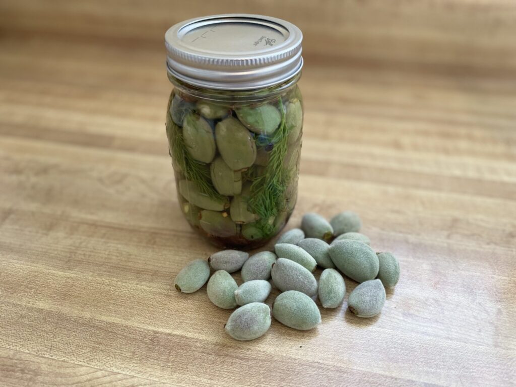 Pickled Green Almonds Recipe